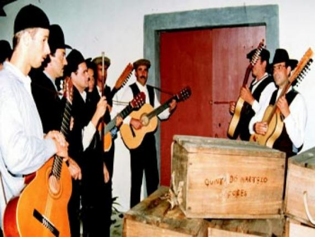 Equipamentos  (31)